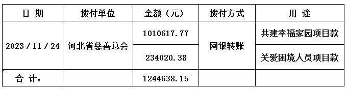 99公益日项目捐款.jpg