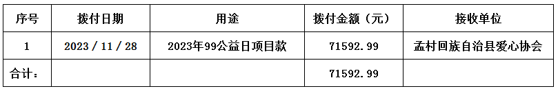 99公益日项目支出.jpg